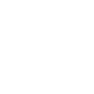 icono vinilos 2