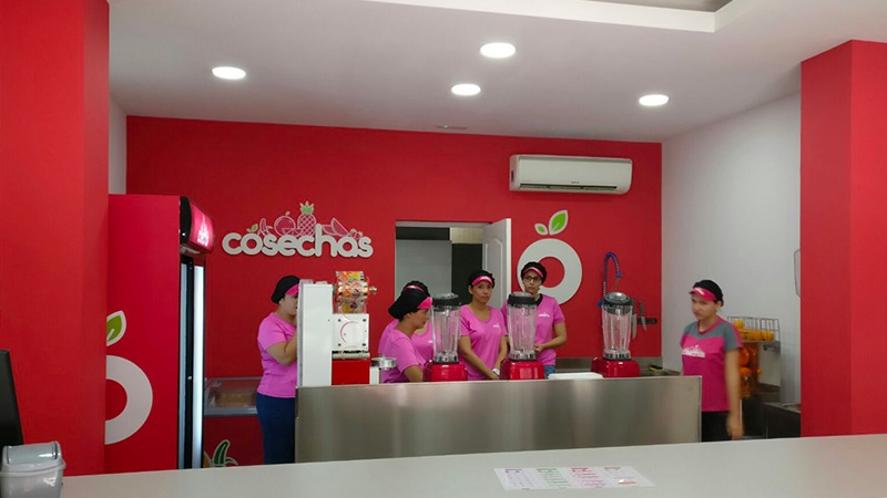 vinilos y rotulación 26 cosechas